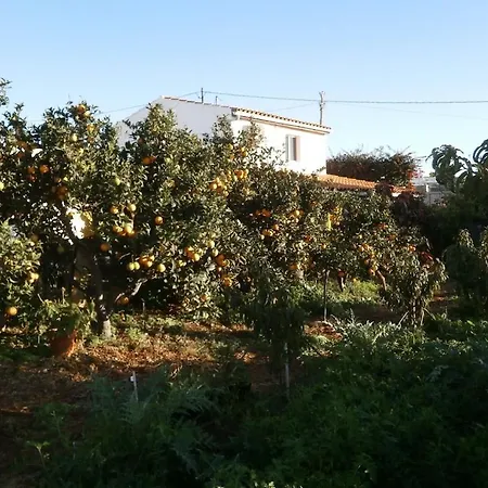 Orchard * גרנדילה דה אבונה